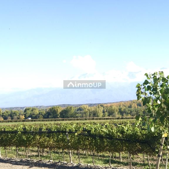 Finca en Venta en Tupungato, Mendoza