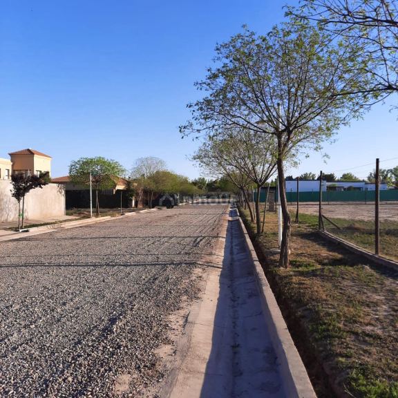 Lote en Venta en Lujan de Cuyo, Mendoza