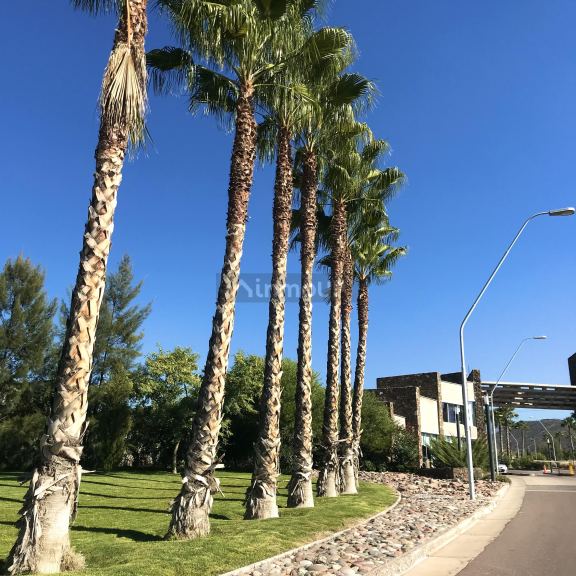 Departamento en Venta en Lujan de Cuyo, Mendoza