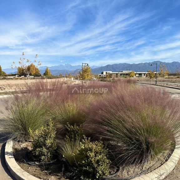 Lote en Venta en Lujan de Cuyo, Mendoza
