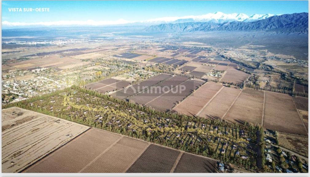 Lote en Venta en Lujan de Cuyo, Mendoza