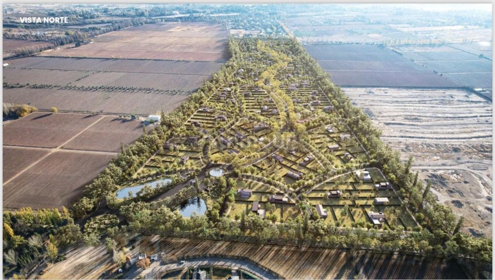 Lote en Venta en Lujan de Cuyo, Mendoza