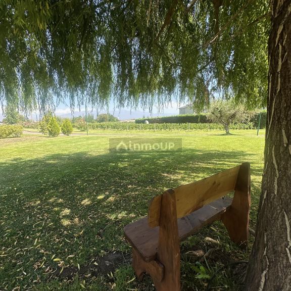 Lote en Venta en Lujan de Cuyo, Mendoza