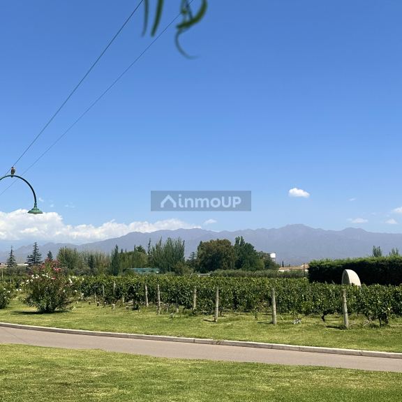 Lote en Venta en Lujan de Cuyo, Mendoza