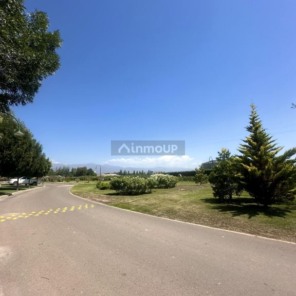 Lote en Venta en Lujan de Cuyo, Mendoza