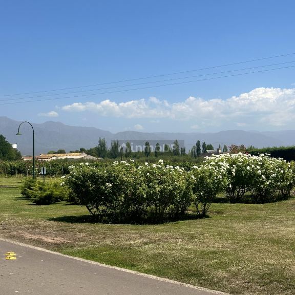 Lote en Venta en Lujan de Cuyo, Mendoza