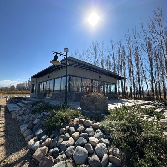 Lote en Venta en Tupungato, Mendoza