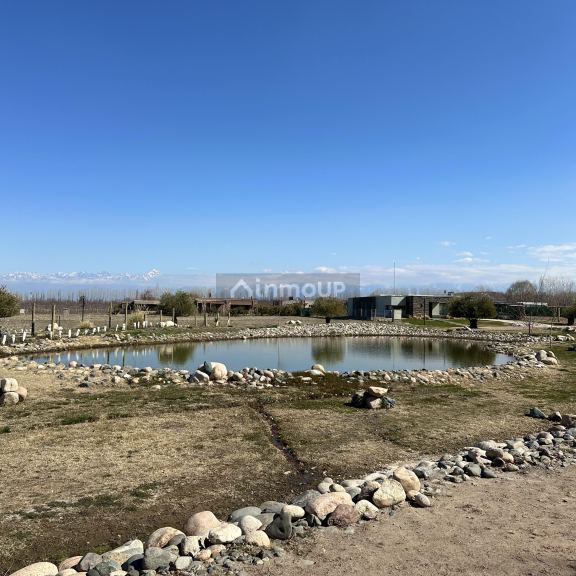 Lote en Venta en Tupungato, Mendoza
