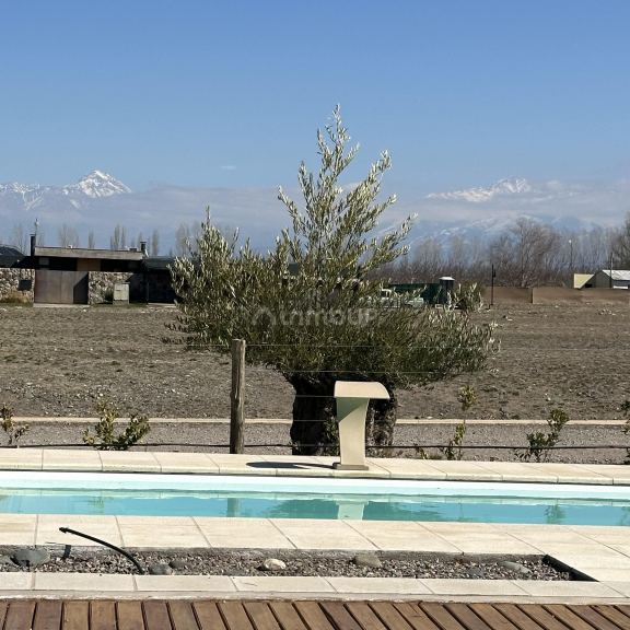 Lote en Venta en Tupungato, Mendoza