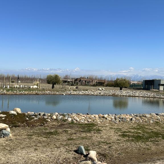 Lote en Venta en Tupungato, Mendoza