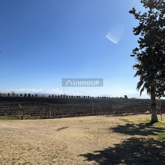 Finca en Venta en Lujan de Cuyo, Mendoza