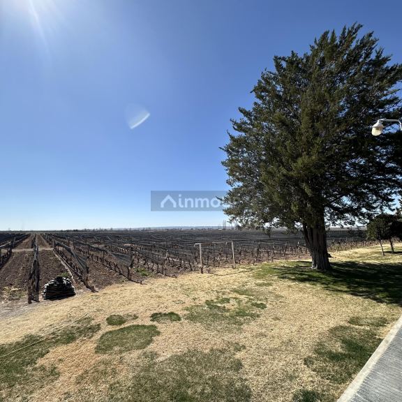 Finca en Venta en Lujan de Cuyo, Mendoza