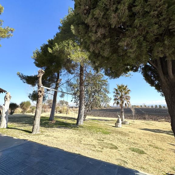 Finca en Venta en Lujan de Cuyo, Mendoza