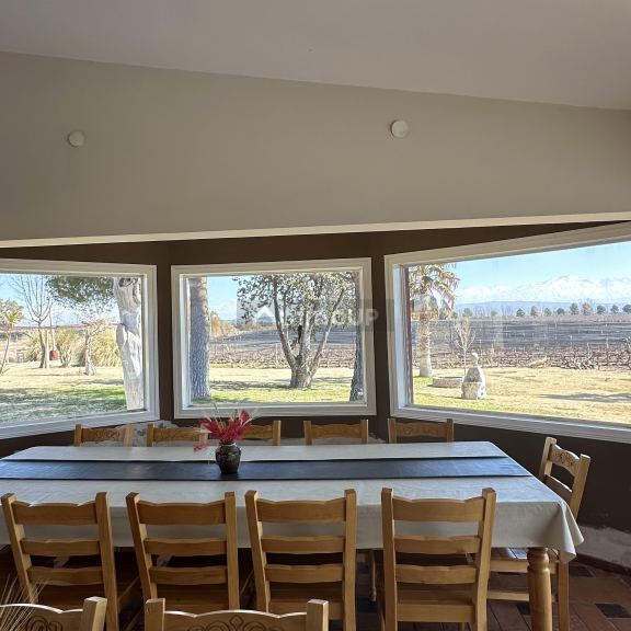 Finca en Venta en Lujan de Cuyo, Mendoza