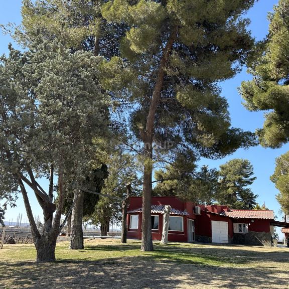 Finca en Venta en Lujan de Cuyo, Mendoza