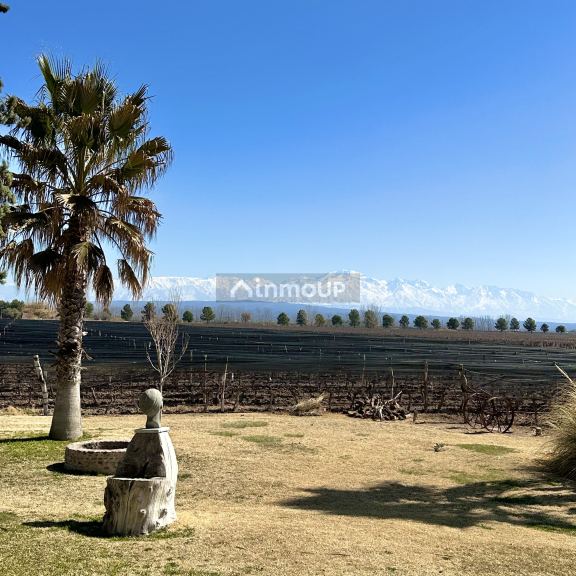 Finca en Venta en Lujan de Cuyo, Mendoza