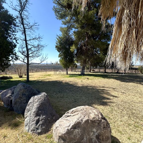 Finca en Venta en Lujan de Cuyo, Mendoza