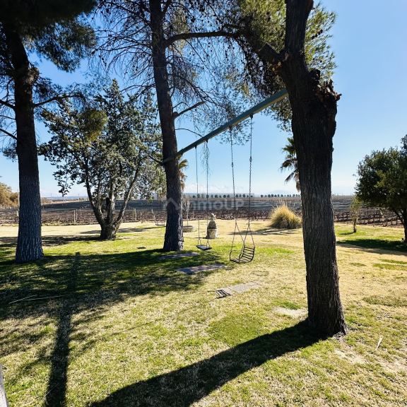 Finca en Venta en Lujan de Cuyo, Mendoza