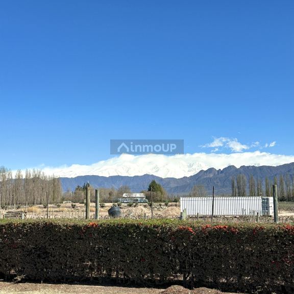 Casa en Alquiler Temporario en Lujan de Cuyo, Mendoza