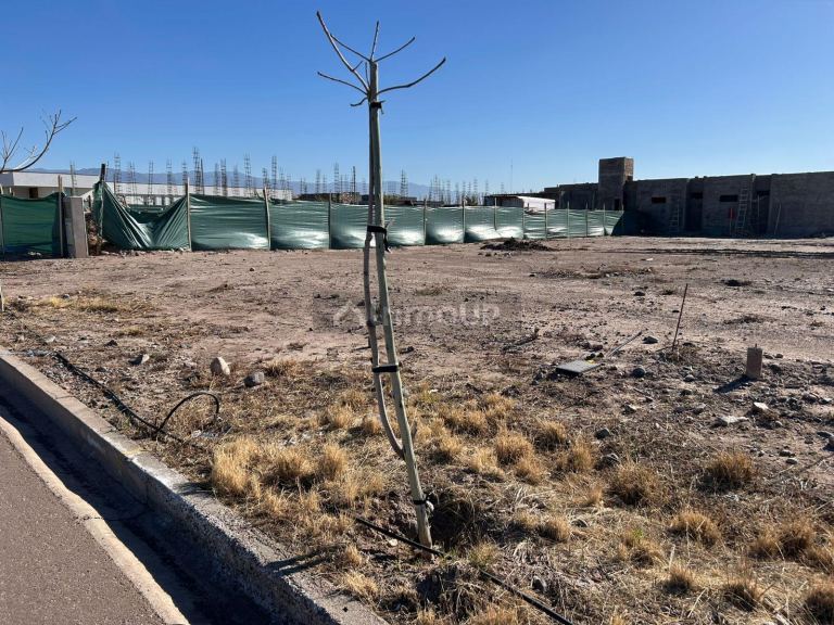 Lote en Venta en Lujan de Cuyo, Mendoza