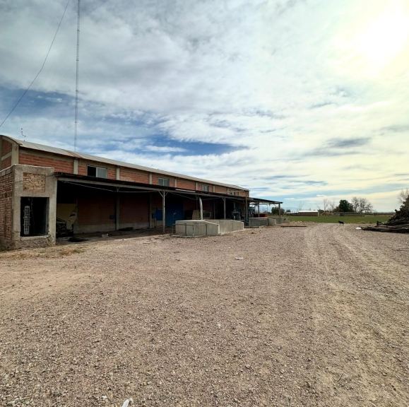 Finca en Venta en Lujan de Cuyo, Mendoza