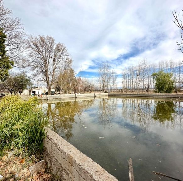 Finca en Venta en Lujan de Cuyo, Mendoza