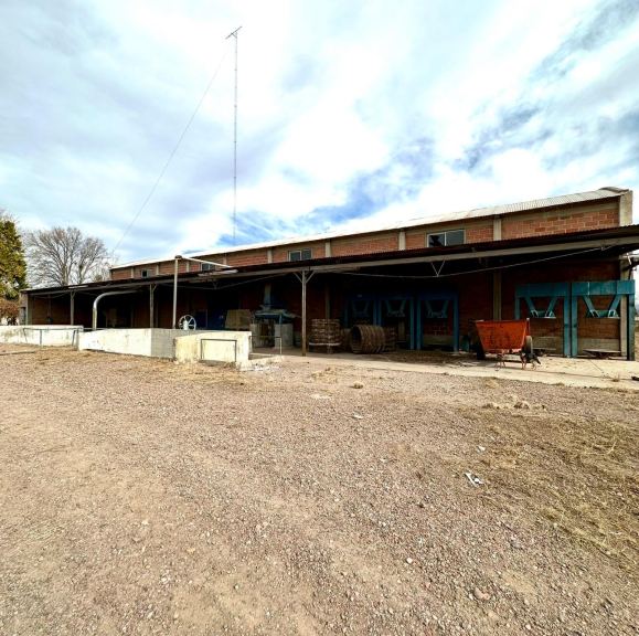 Finca en Venta en Lujan de Cuyo, Mendoza