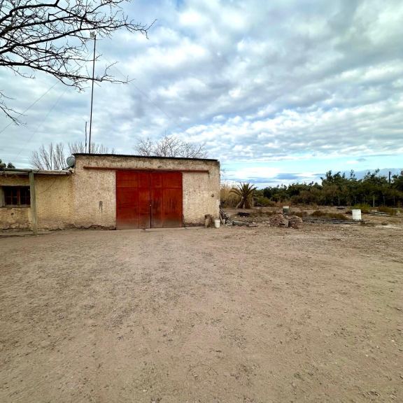 Finca en Venta en Rivadavia, Mendoza