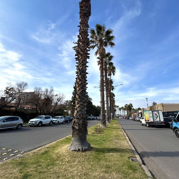 Lote en Venta en Godoy Cruz, Mendoza