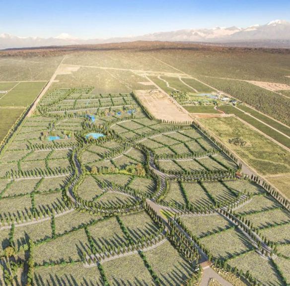 Lote en Venta en Lujan de Cuyo, Mendoza