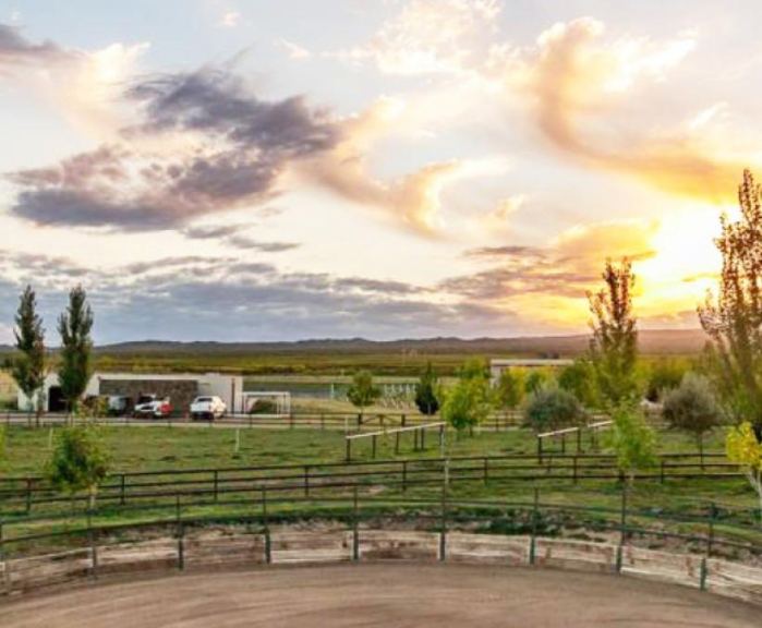 Lote en Venta en Lujan de Cuyo, Mendoza