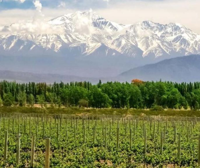 Lote en Venta en Lujan de Cuyo, Mendoza