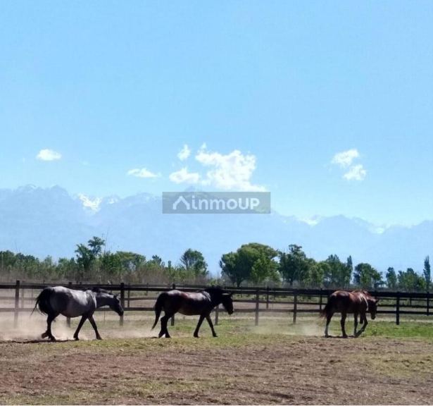 Lote en Venta en Tunuyan, Mendoza