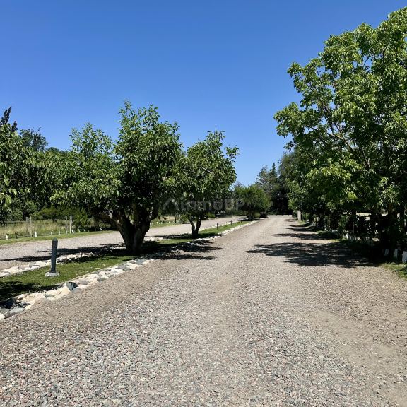 Lote en Venta en Tupungato, Mendoza