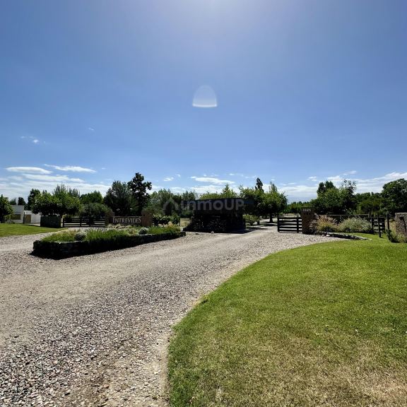 Lote en Venta en Tupungato, Mendoza