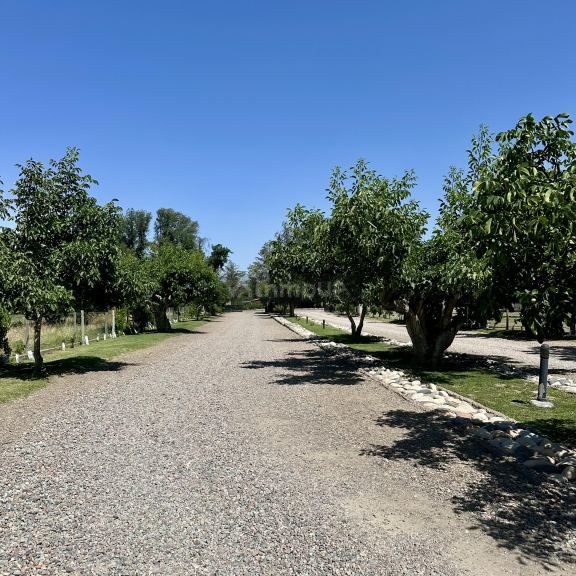 Lote en Venta en Tupungato, Mendoza