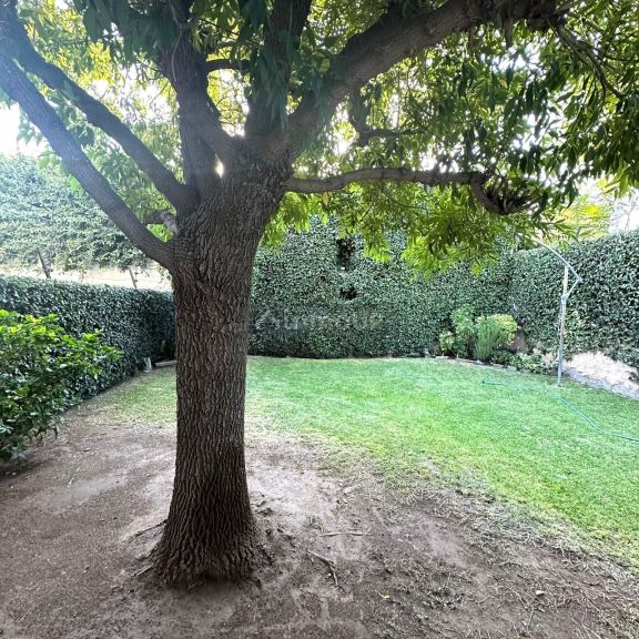 Oficina en Alquiler en Capital, Mendoza