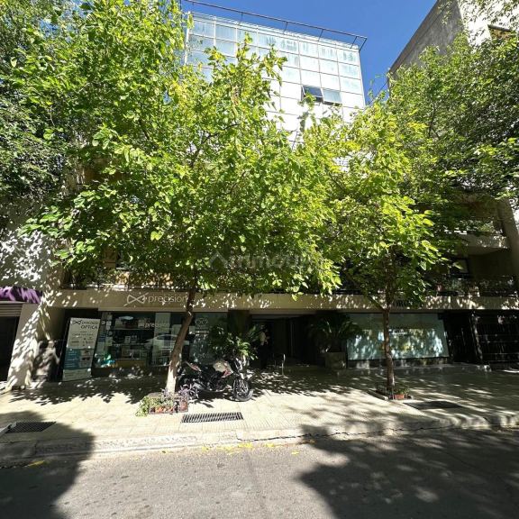 Departamento en Alquiler en Capital, Mendoza