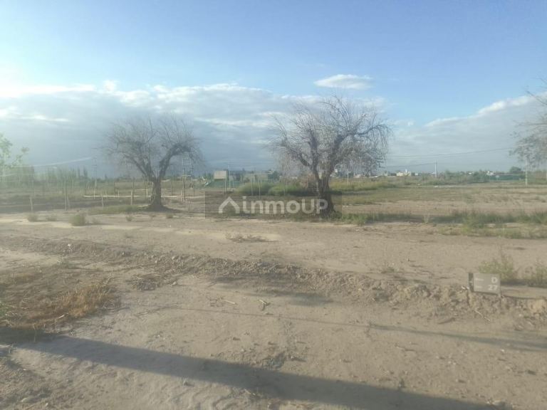 Lote en Venta en Maipu, Mendoza