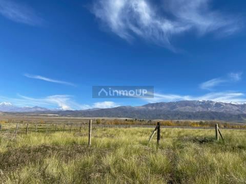 Finca en Venta en Tupungato, Mendoza