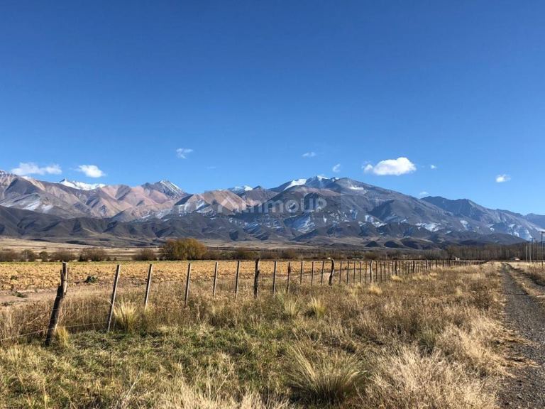 Finca en Venta en Tupungato, Mendoza