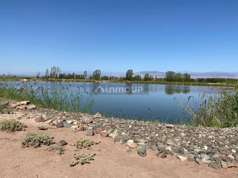 Finca en Venta en Lavalle, Mendoza