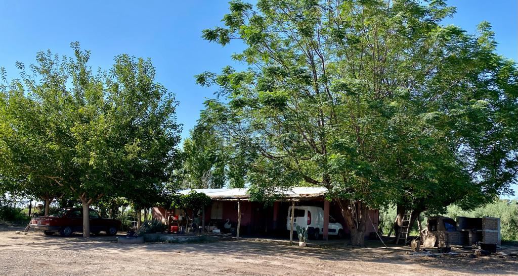 Finca en Venta en Lavalle, Mendoza
