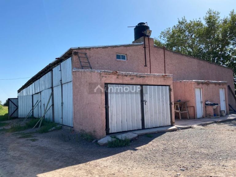 Finca en Venta en Lavalle, Mendoza