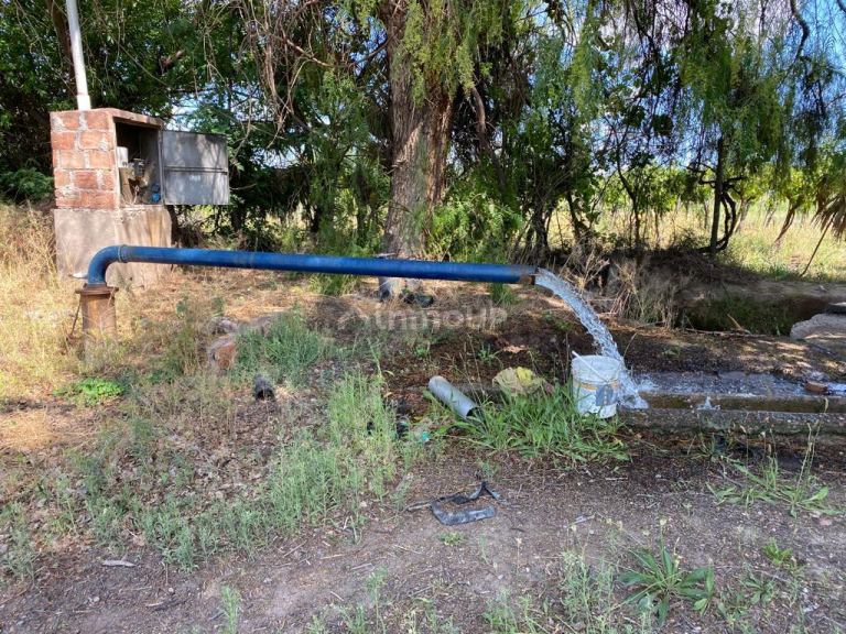 Finca en Venta en Maipu, Mendoza