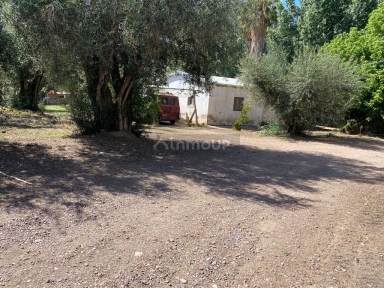 Finca en Venta en Maipu, Mendoza