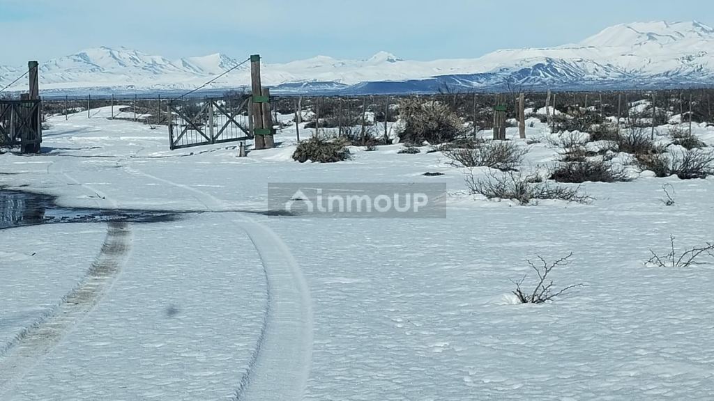 Campo en Venta en Malargue, Mendoza