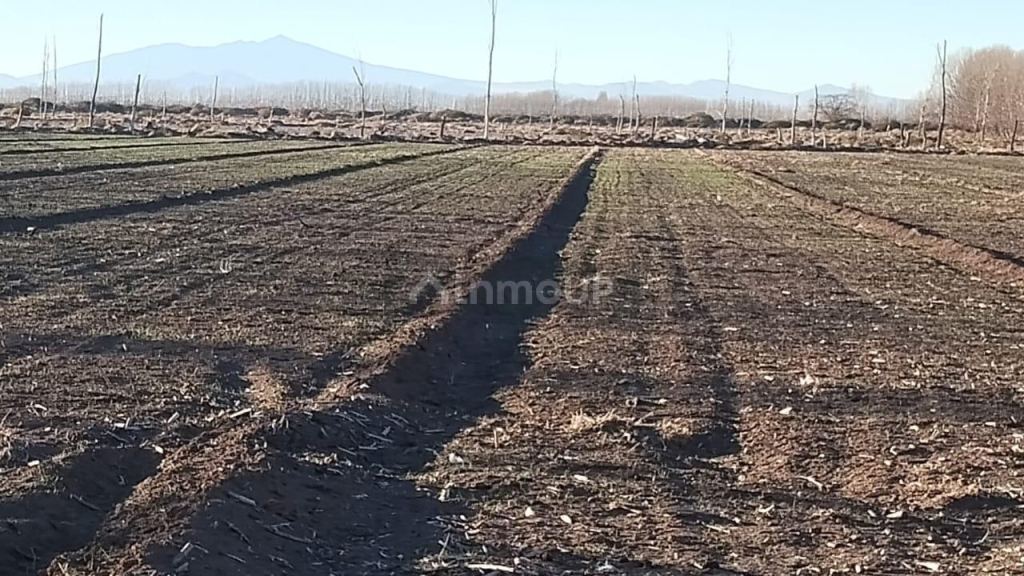 Campo en Venta en Malargue, Mendoza