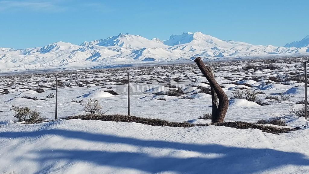 Campo en Venta en Malargue, Mendoza