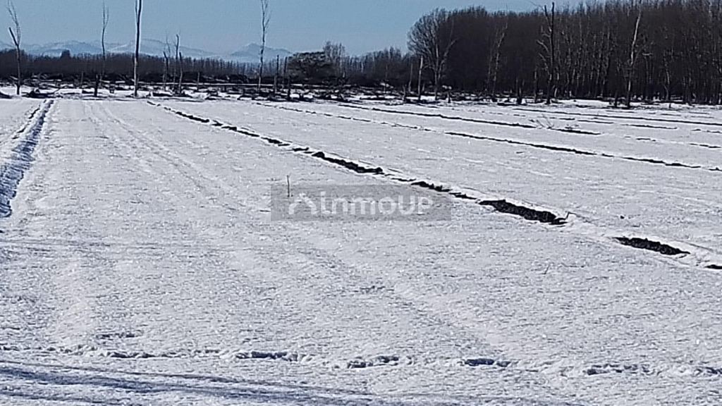 Campo en Venta en Malargue, Mendoza